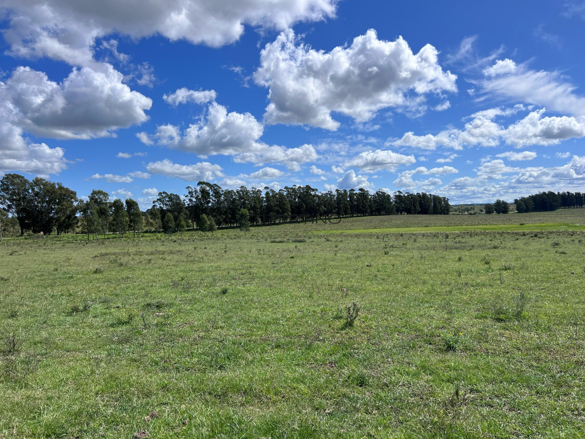 Campo en , — foto 5