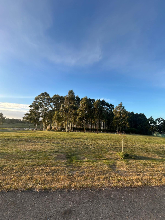 Terreno en Manantiales, Pueblo Mio — foto 4