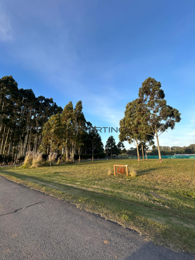 Terreno en Manantiales, Pueblo Mio — foto 6