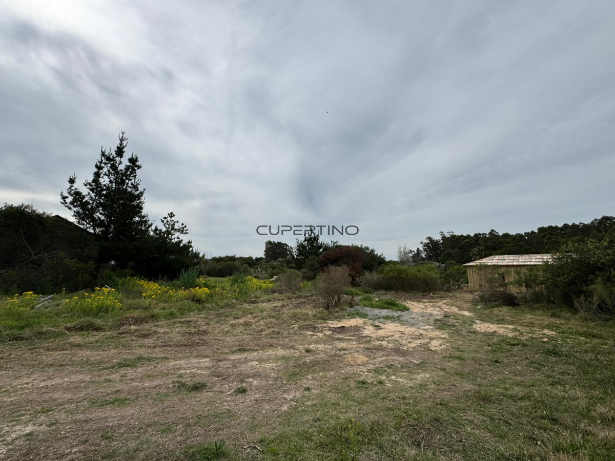 Terreno en Jose Ignacio, San Vicente — foto 5