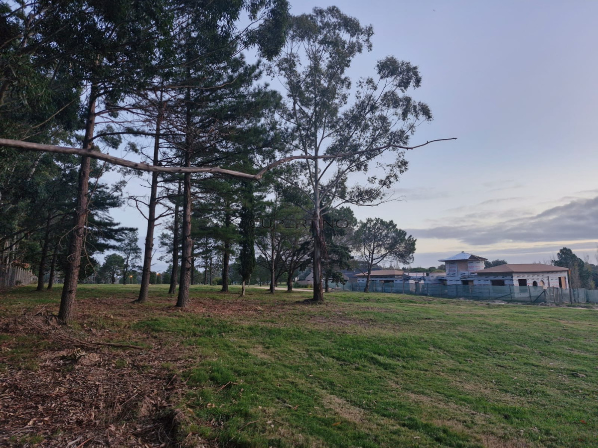 Terreno en La Barra, La Barra — foto 6