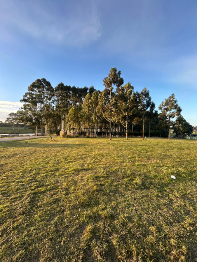 Terreno en Manantiales, Pueblo Mio — foto 5