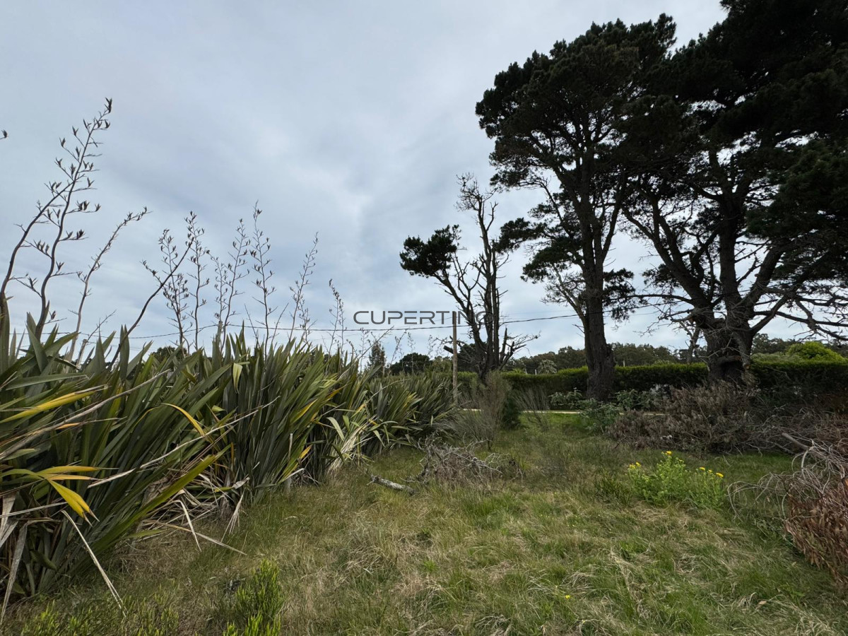 Terreno en Jose Ignacio, San Vicente — foto 7