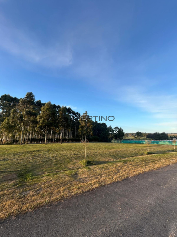 Terreno en Manantiales, Pueblo Mio — foto 2