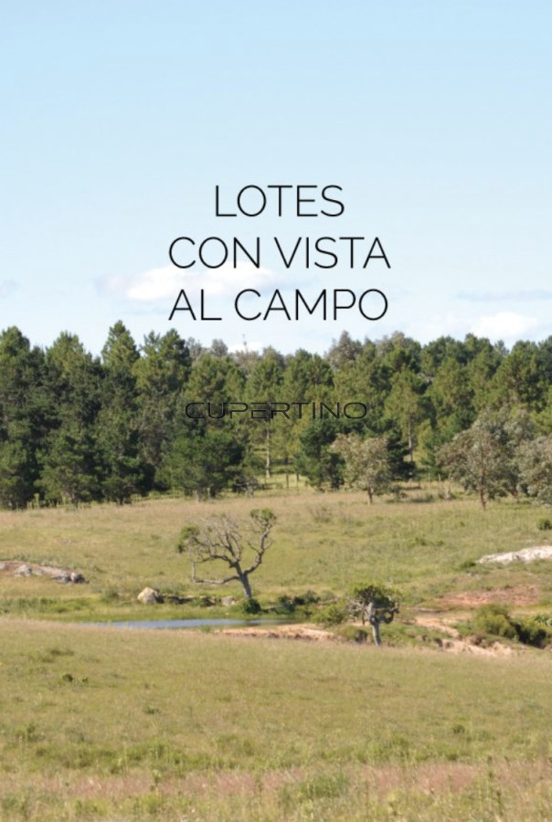 Terreno en Jose Ignacio, Laguna Escondida — foto 1