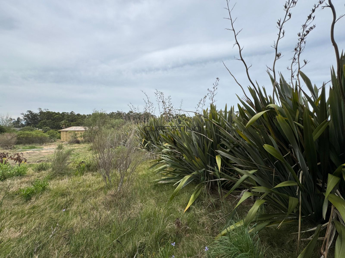 Terreno en Jose Ignacio, San Vicente — foto 2