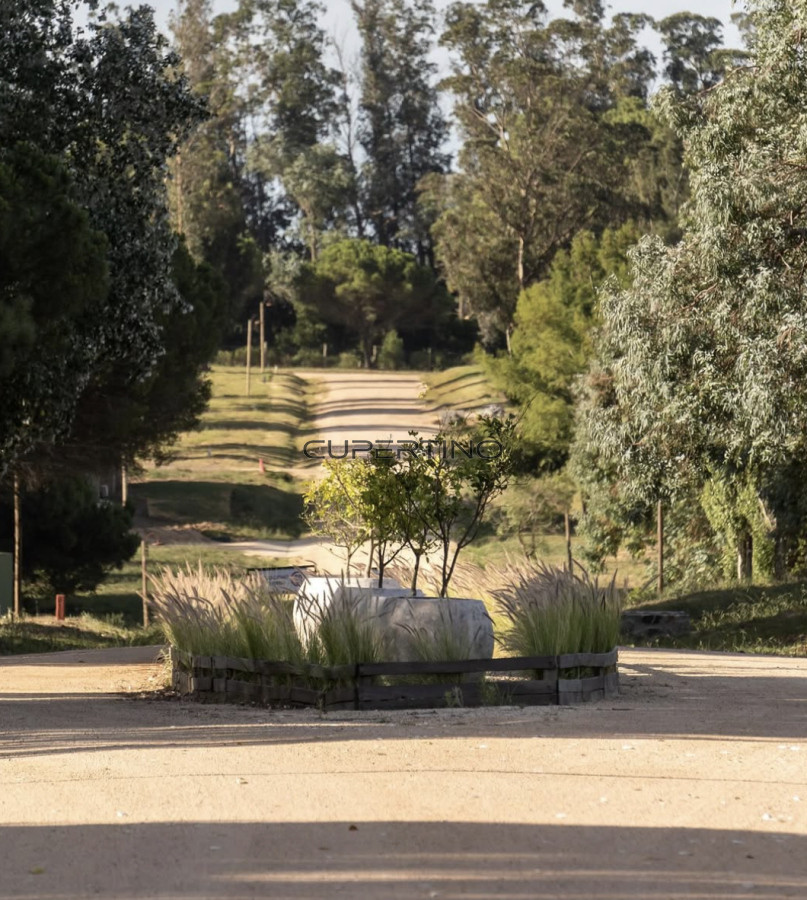 Terreno en La Barra, La Barra — foto 3