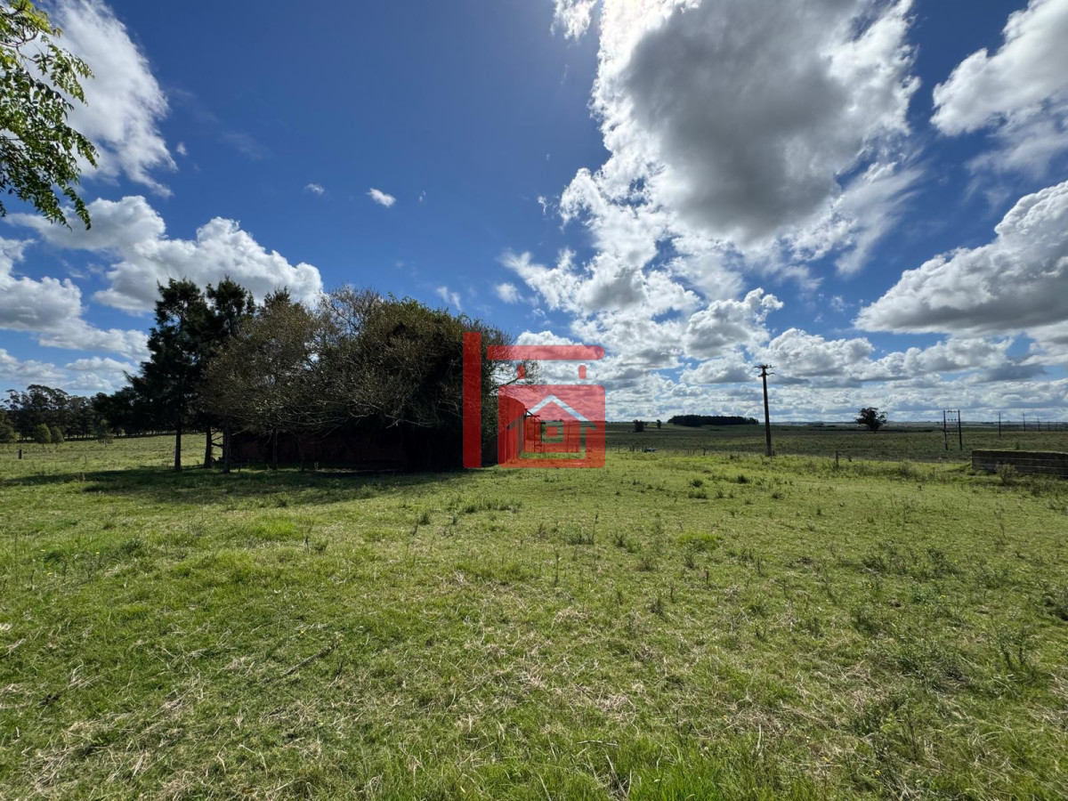 Campo Ref.668 - VENTA DE CHACRA - 81 HECTÁREAS EN CAMINO A PUEBLO GARZÓN