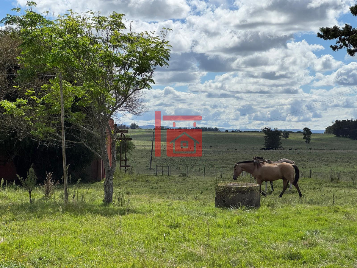 Campo Ref.668 - VENTA DE CHACRA - 81 HECTÁREAS EN CAMINO A PUEBLO GARZÓN
