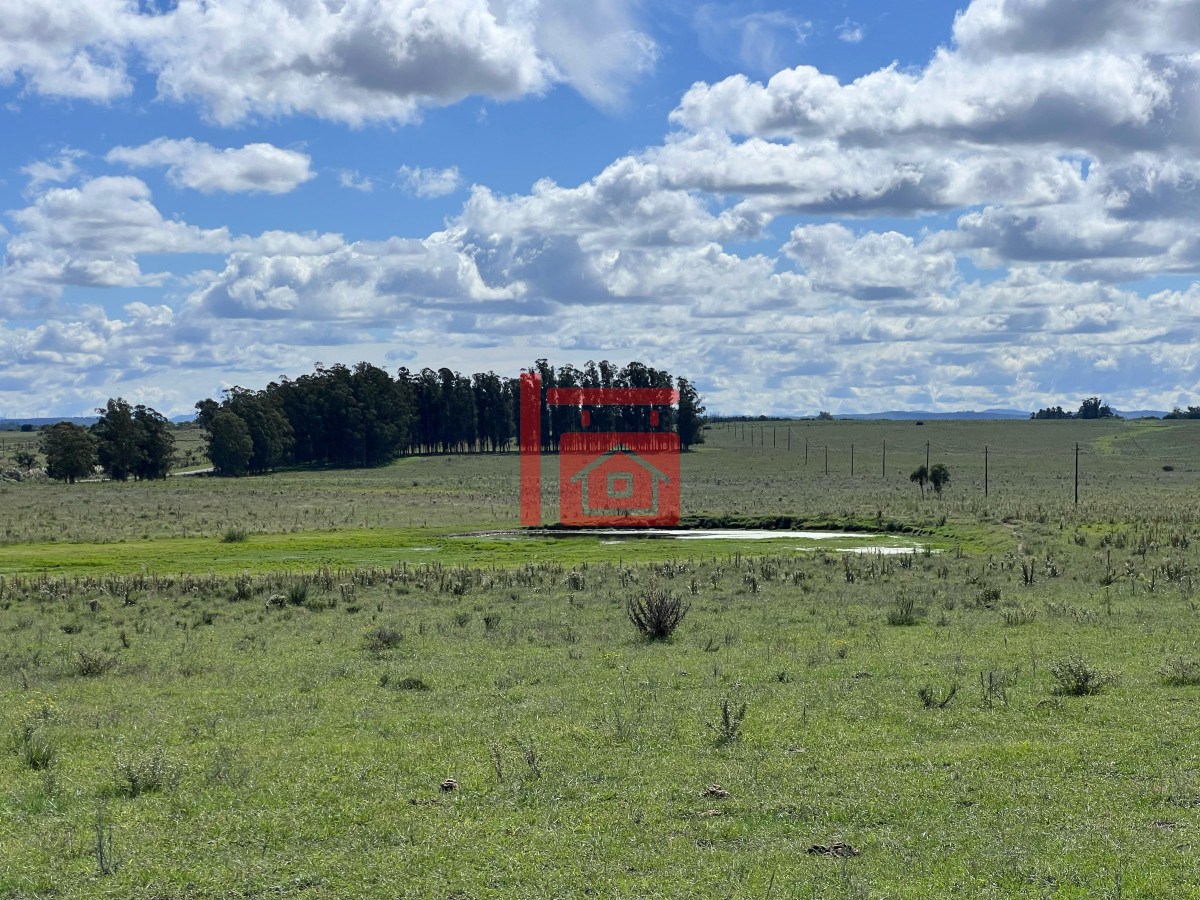 Campo Ref.668 - VENTA DE CHACRA - 81 HECTÁREAS EN CAMINO A PUEBLO GARZÓN