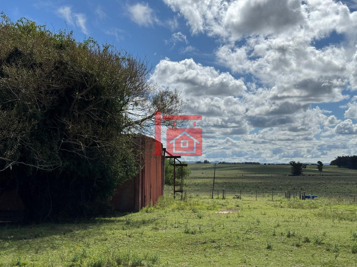 Campo Ref.668 - VENTA DE CHACRA - 81 HECTÁREAS EN CAMINO A PUEBLO GARZÓN
