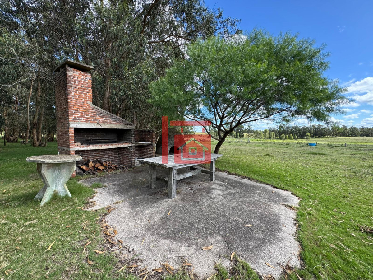 Campo Ref.668 - VENTA DE CHACRA - 81 HECTÁREAS EN CAMINO A PUEBLO GARZÓN