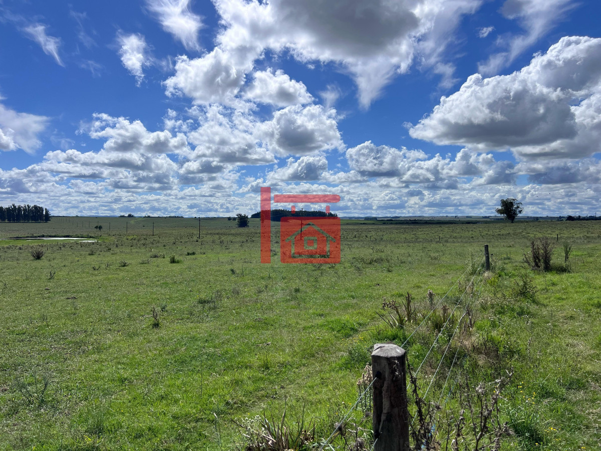 Campo Ref.668 - VENTA DE CHACRA - 81 HECTÁREAS EN CAMINO A PUEBLO GARZÓN