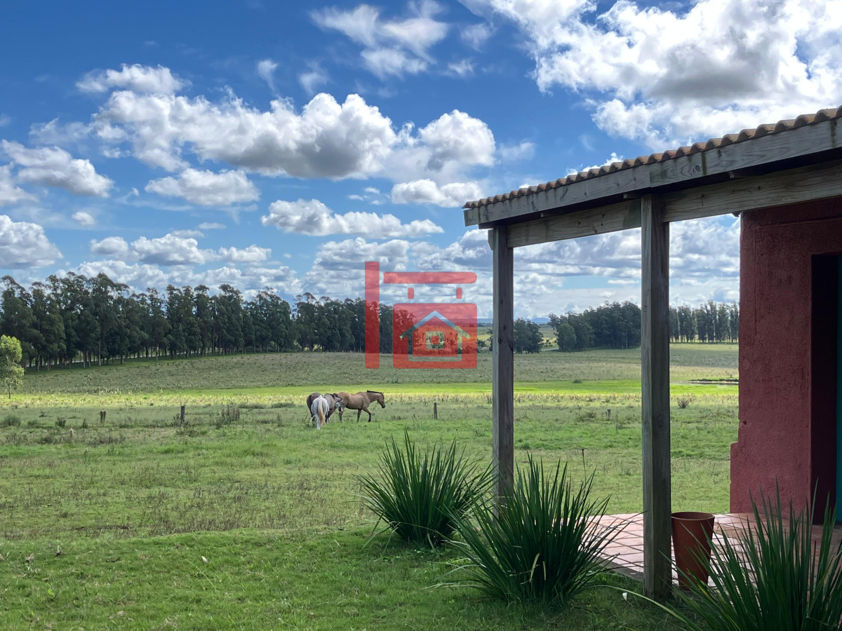 Campo Ref.668 - VENTA DE CHACRA - 81 HECTÁREAS EN CAMINO A PUEBLO GARZÓN