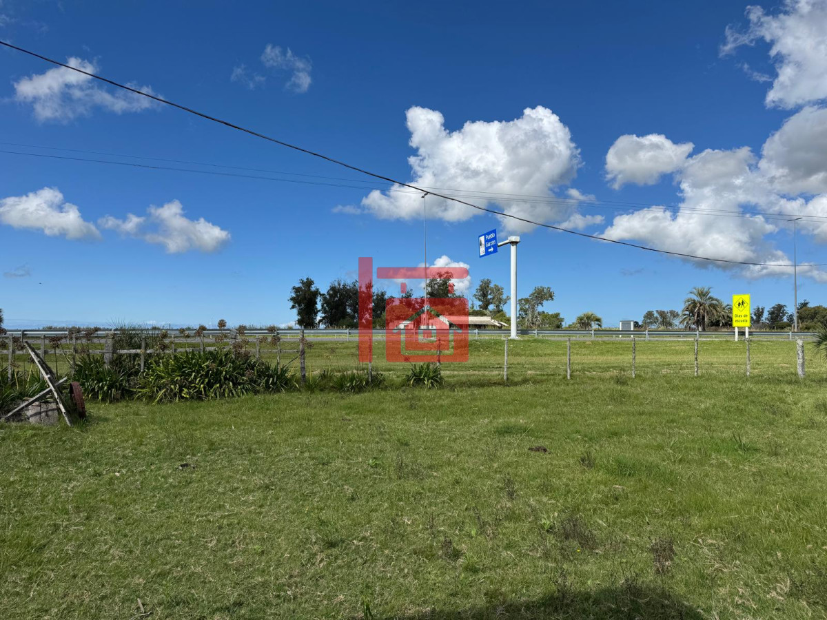 Campo Ref.668 - VENTA DE CHACRA - 81 HECTÁREAS EN CAMINO A PUEBLO GARZÓN