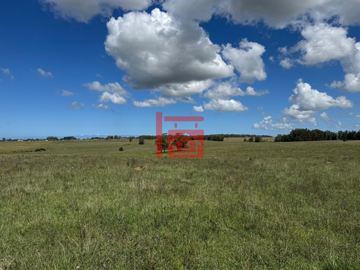 Campo Ref.668 - VENTA DE CHACRA - 81 HECTÁREAS EN CAMINO A PUEBLO GARZÓN