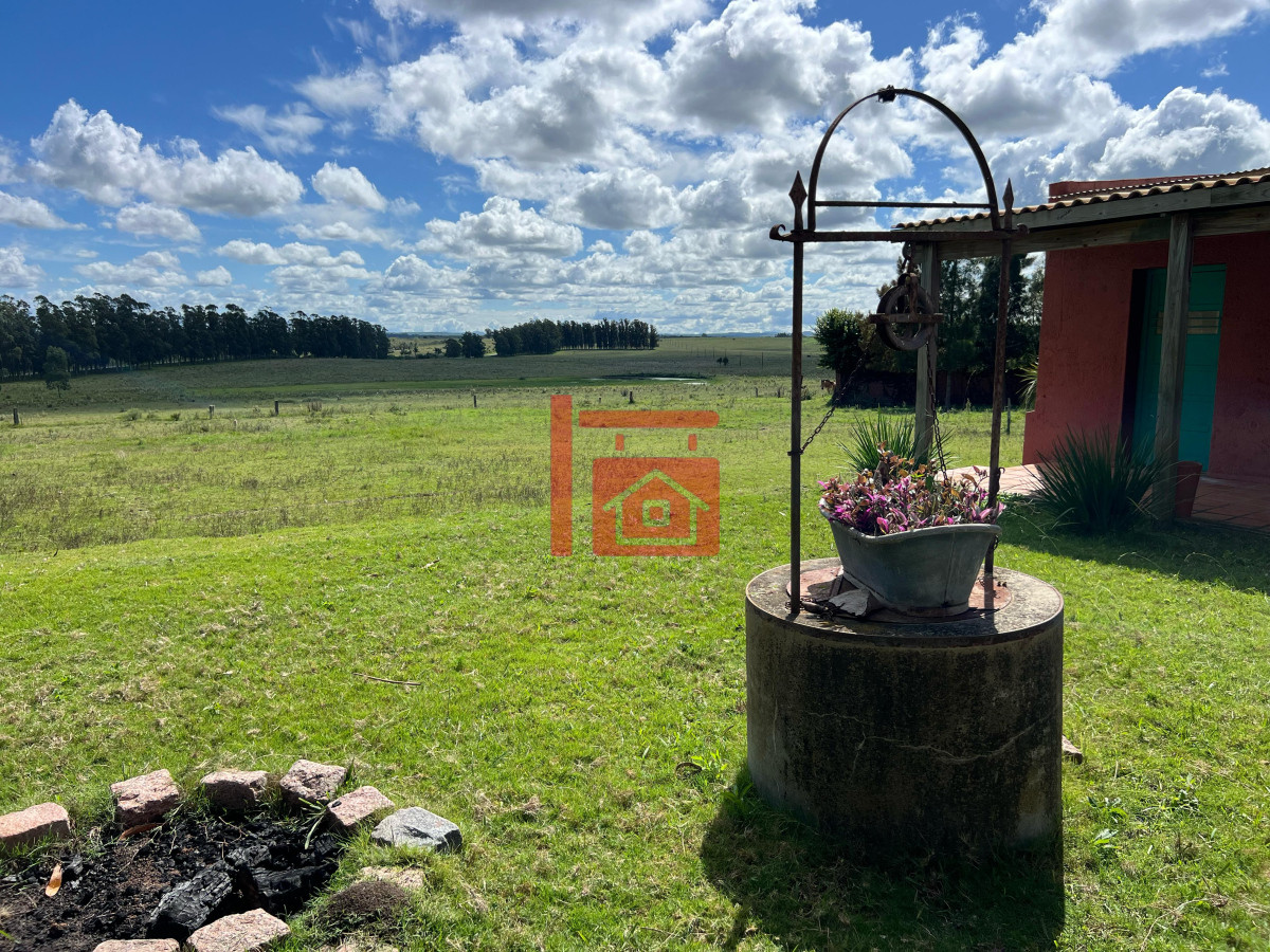 Campo Ref.668 - VENTA DE CHACRA - 81 HECTÁREAS EN CAMINO A PUEBLO GARZÓN