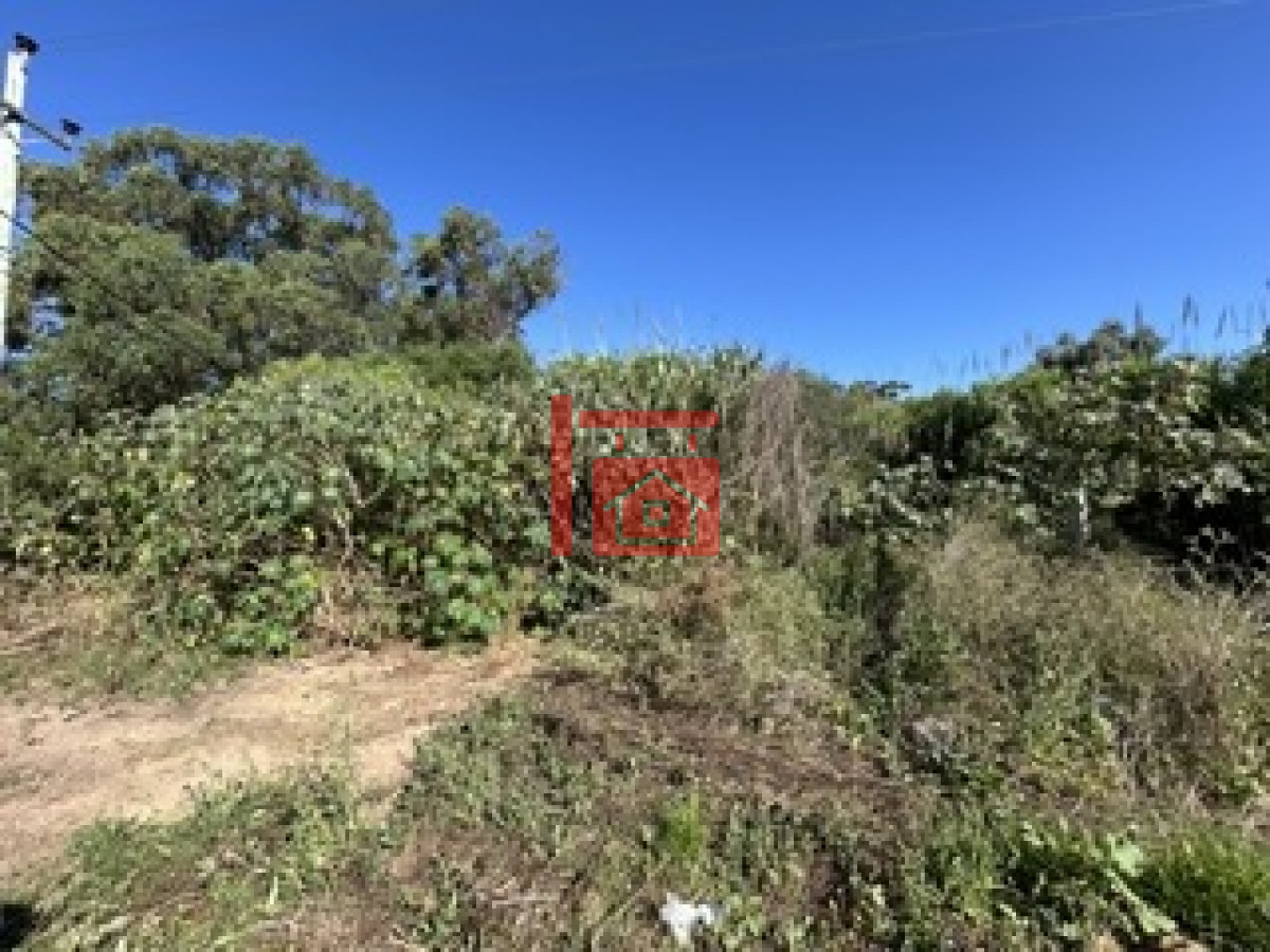 Terreno ID.127 - TERRENO EN VENTA, EL TESORO