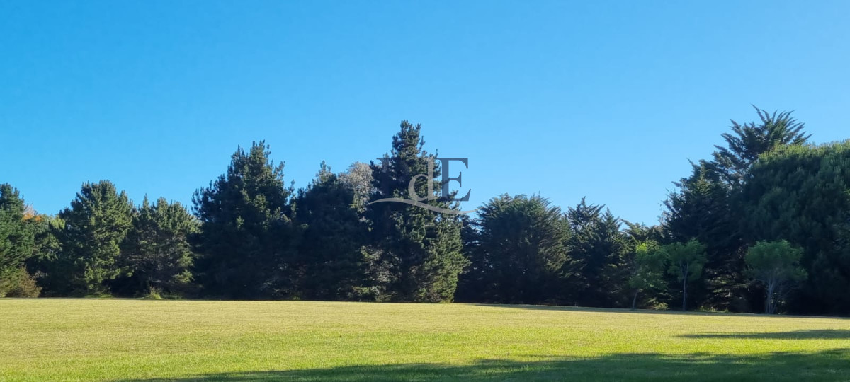 Chacra soñada en José Ignacio  - Imagen 10