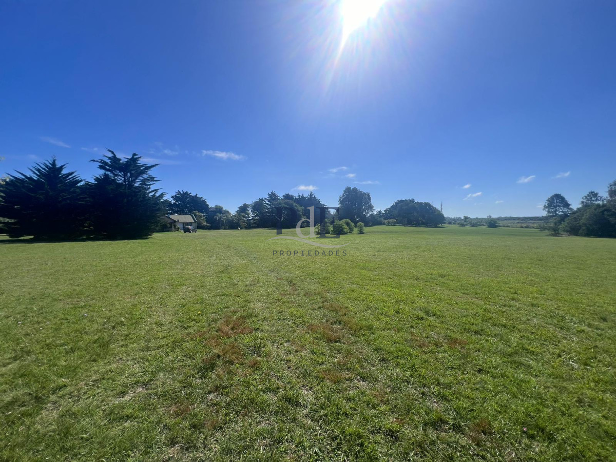 Chacra soñada en José Ignacio  - Imagen 31