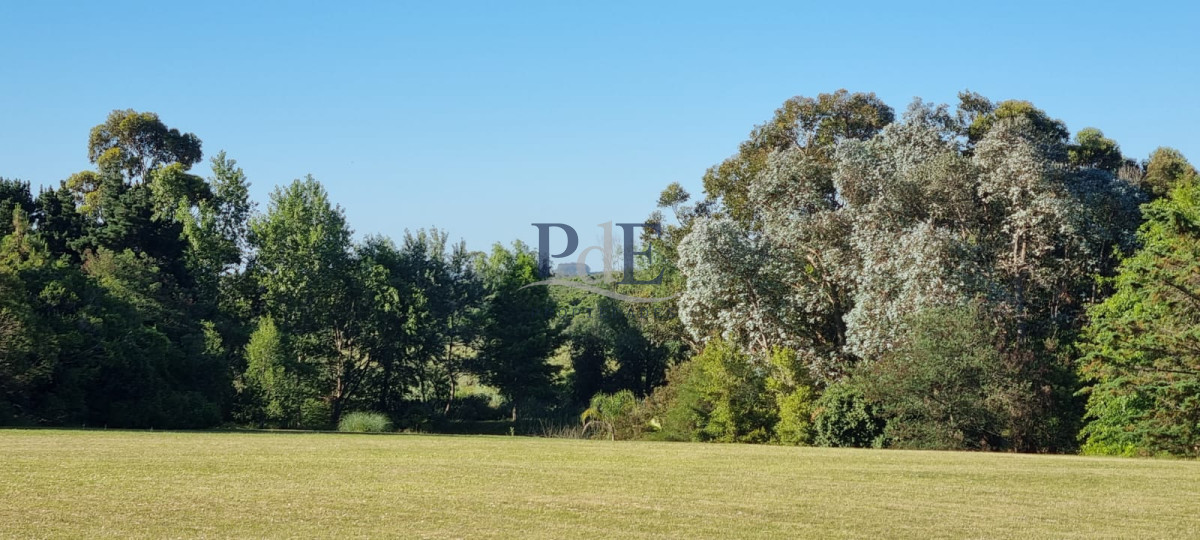 Chacra soñada en José Ignacio  - Imagen 17