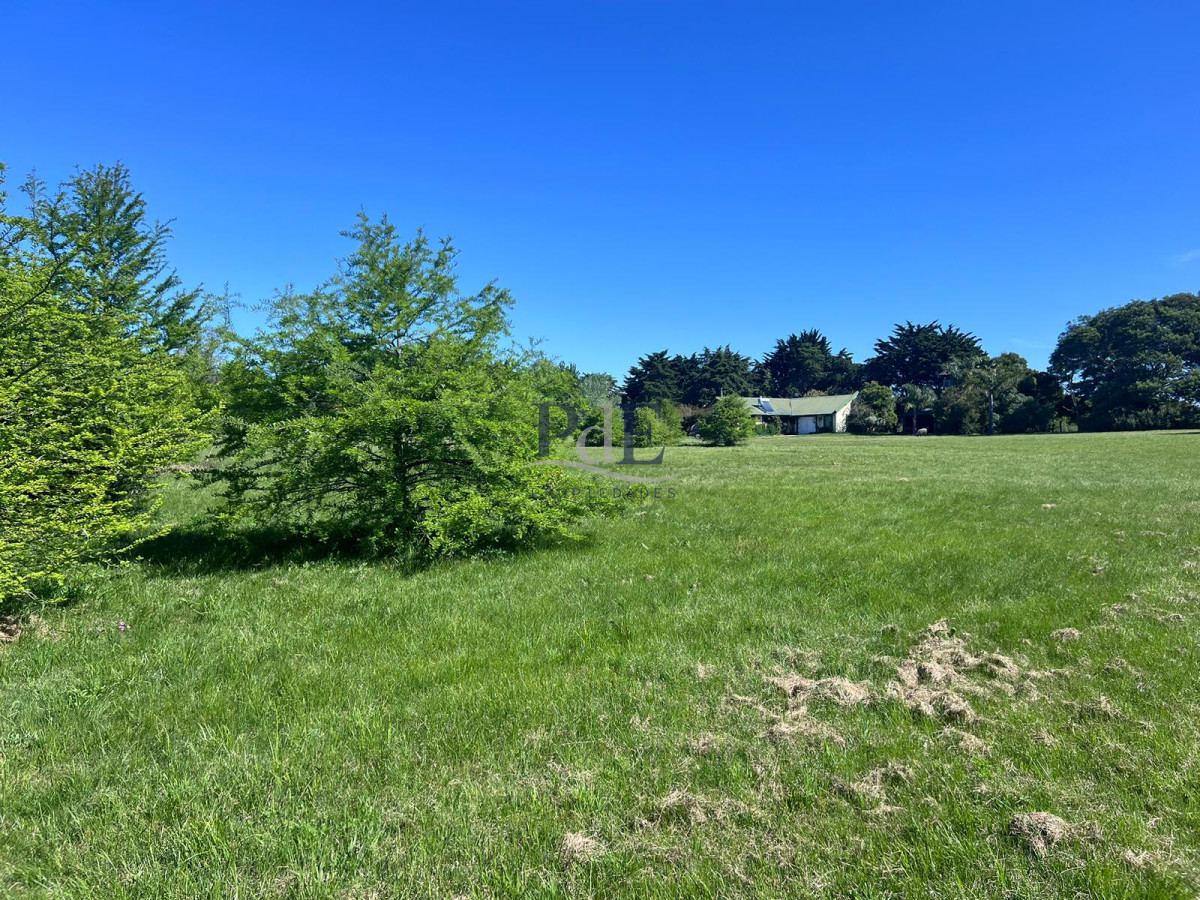 Chacra soñada en José Ignacio  - Imagen 3