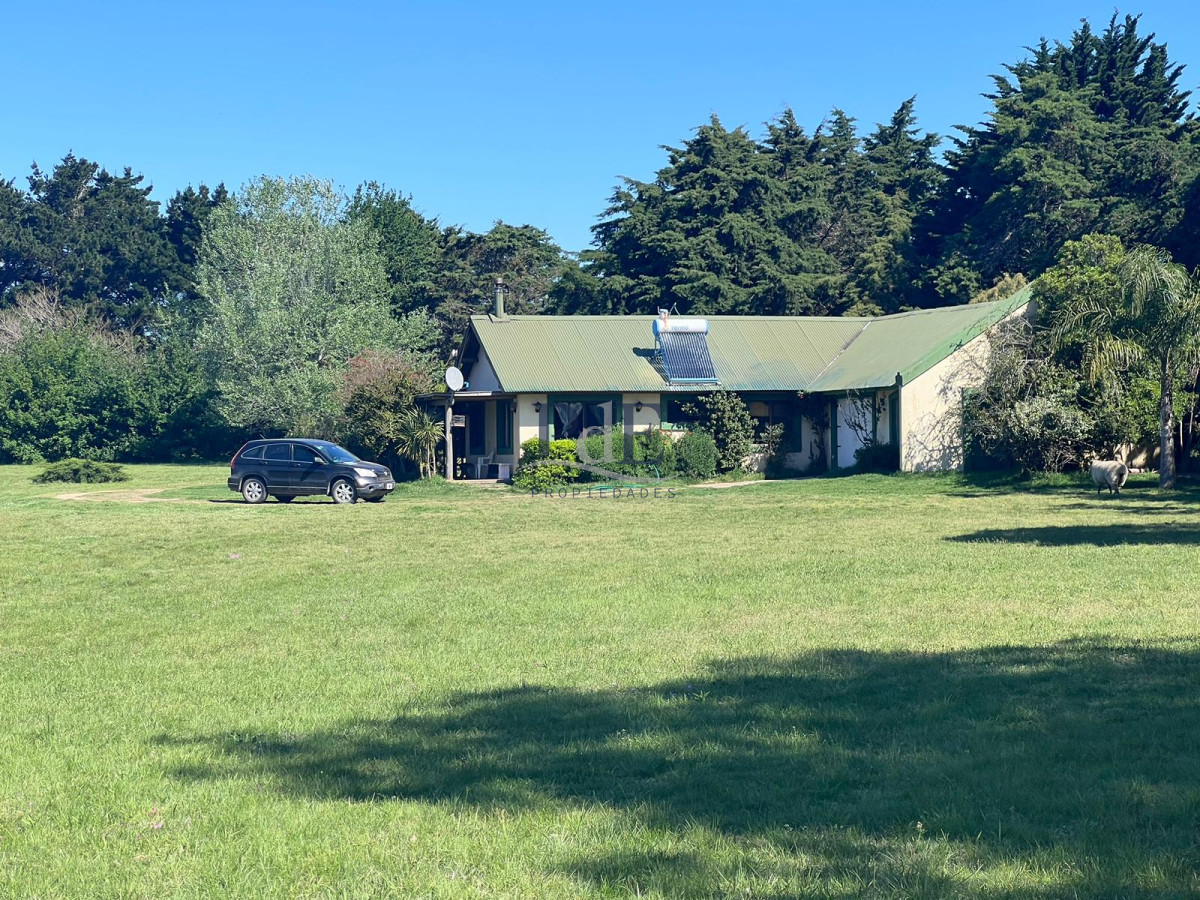 Chacra soñada en José Ignacio  - Imagen 7