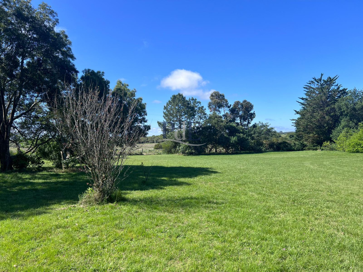 Chacra soñada en José Ignacio  - Imagen 6