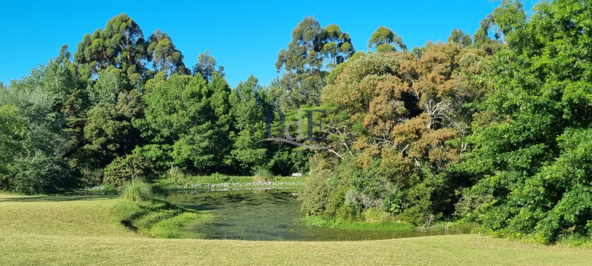 Chacra soñada en José Ignacio  - Imagen 9