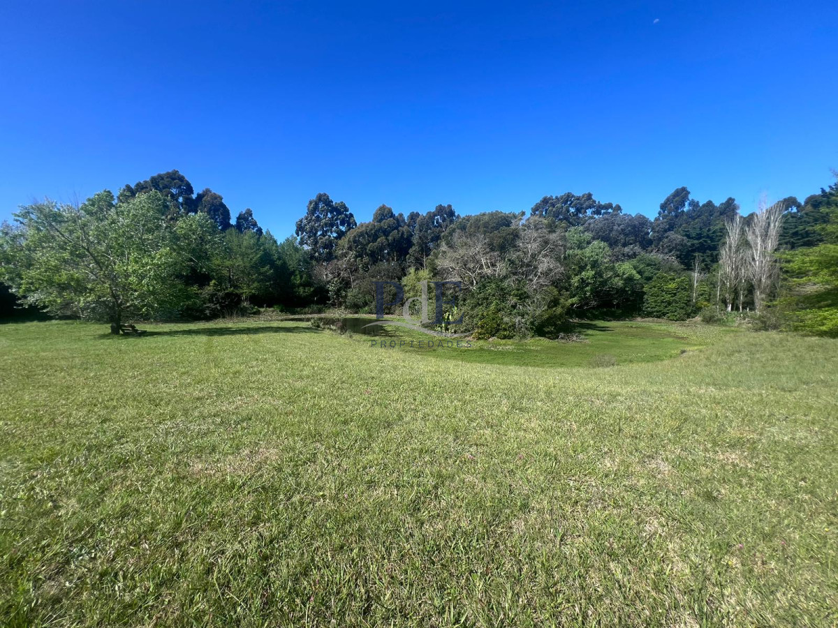 Chacra soñada en José Ignacio  - Imagen 8