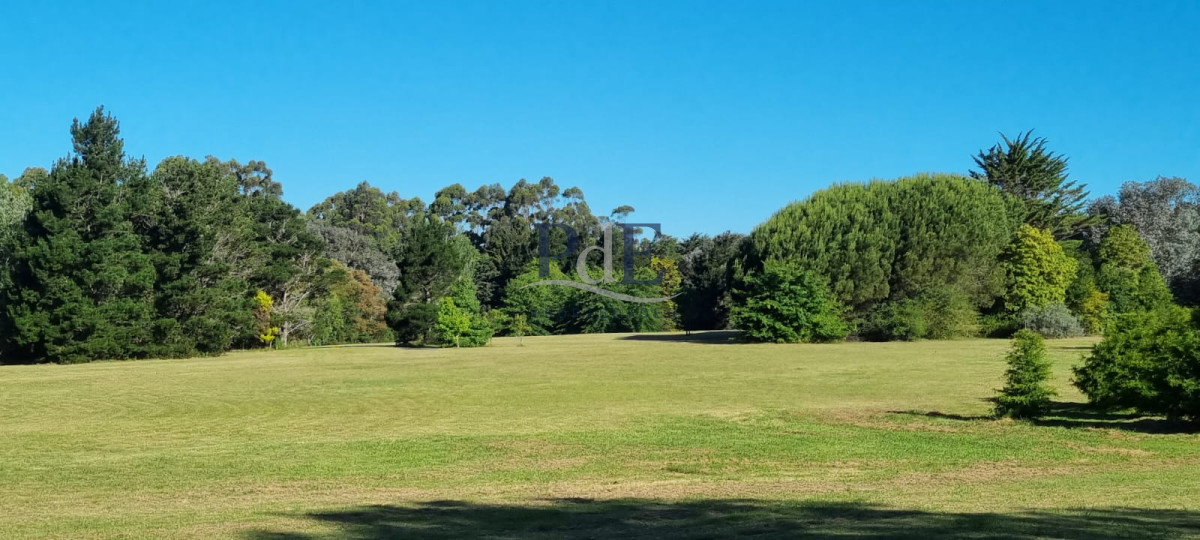 Chacra soñada en José Ignacio  - Imagen 12