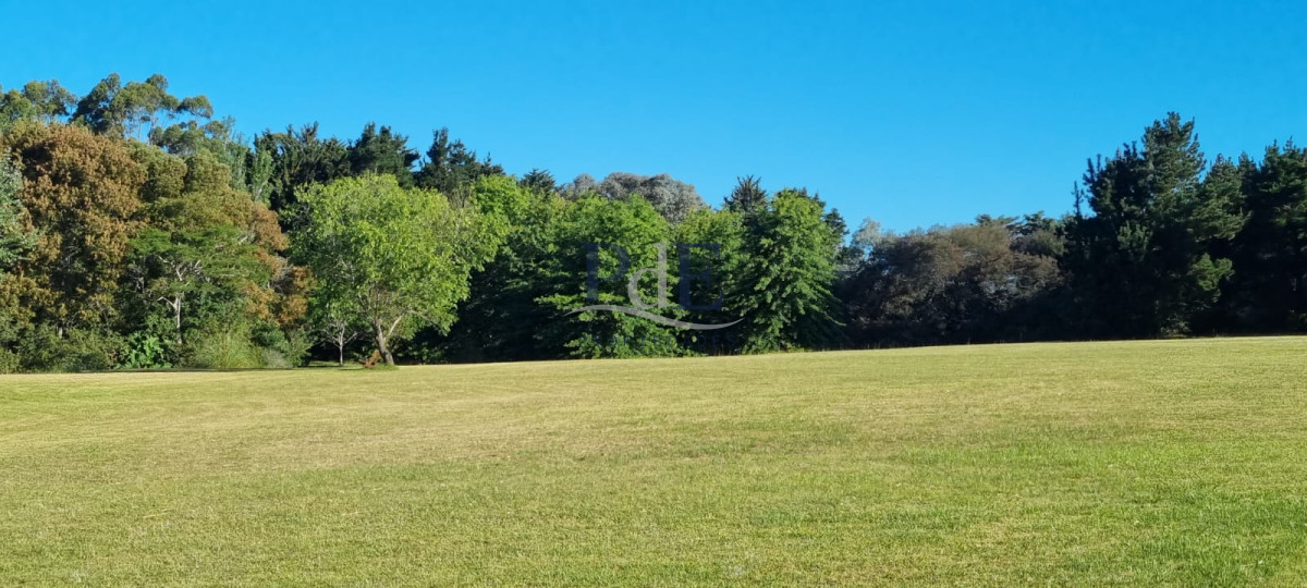 Chacra soñada en José Ignacio  - Imagen 15