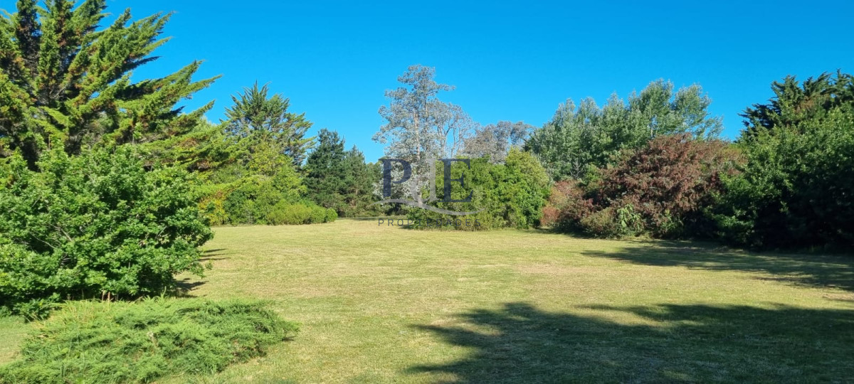 Chacra soñada en José Ignacio  - Imagen 11