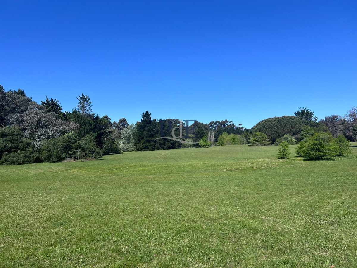 Chacra soñada en José Ignacio  - Imagen 29