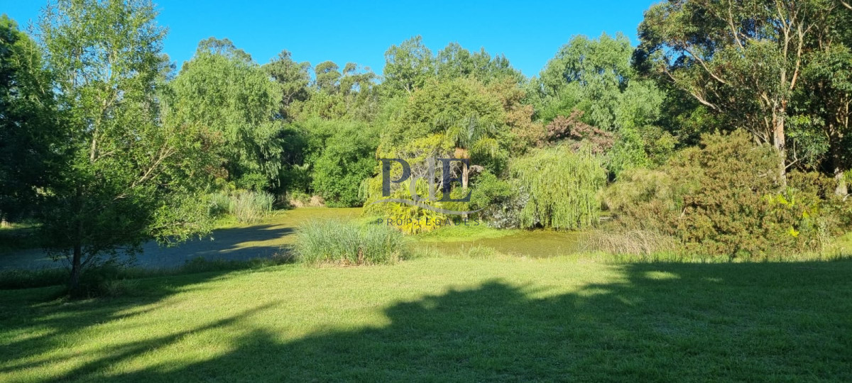 Chacra soñada en José Ignacio  - Imagen 14