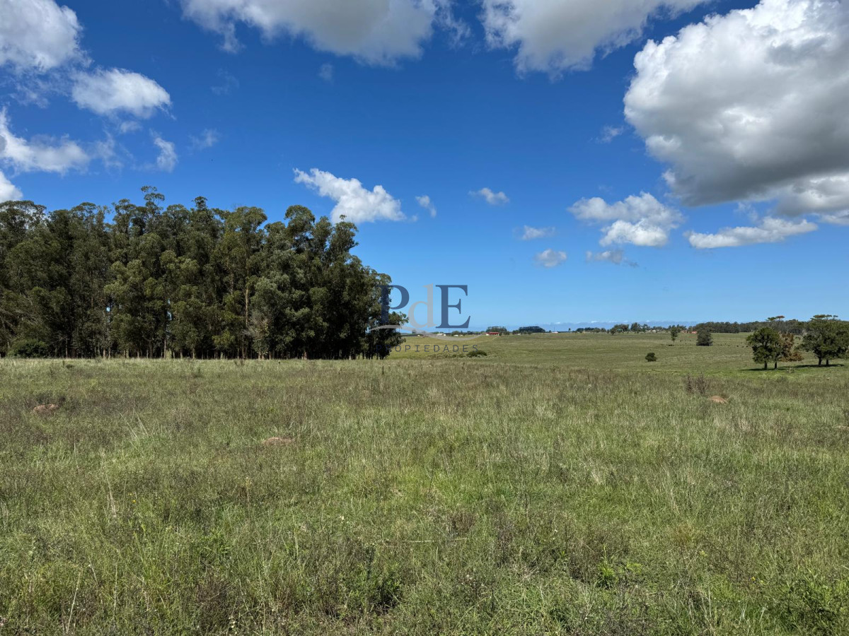 81 Hectáreas sobre Camino a Pueblo Garzón - Imagen 1