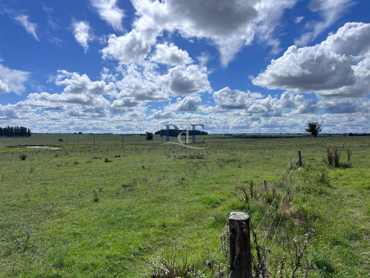 81 Hectáreas sobre Camino a Pueblo Garzón - Imagen 6