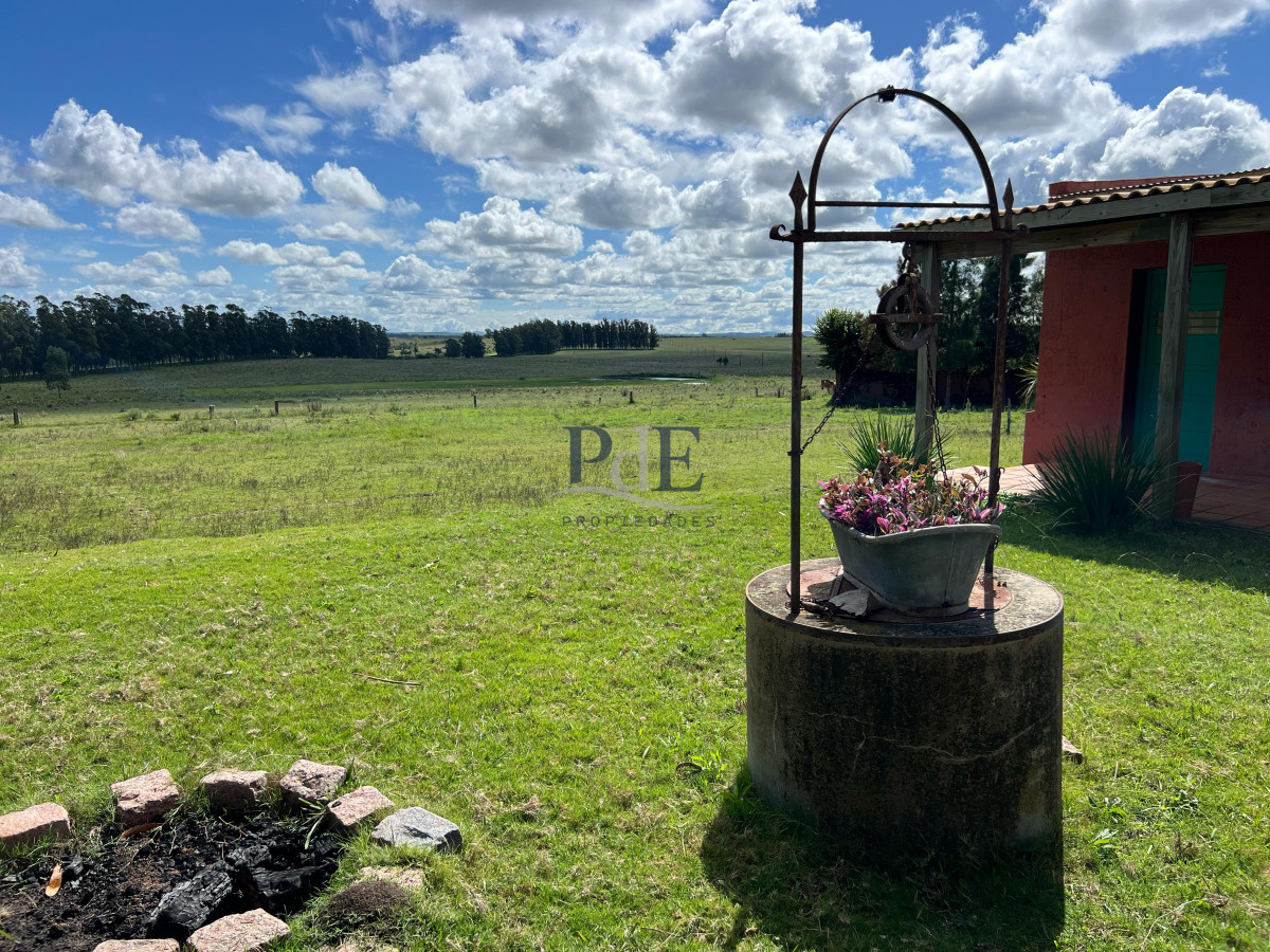81 Hectáreas sobre Camino a Pueblo Garzón - Imagen 3