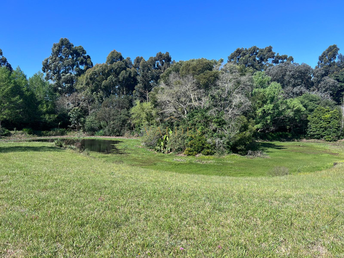 Chacra ID.4392 - Chacra soñada en José Ignacio 