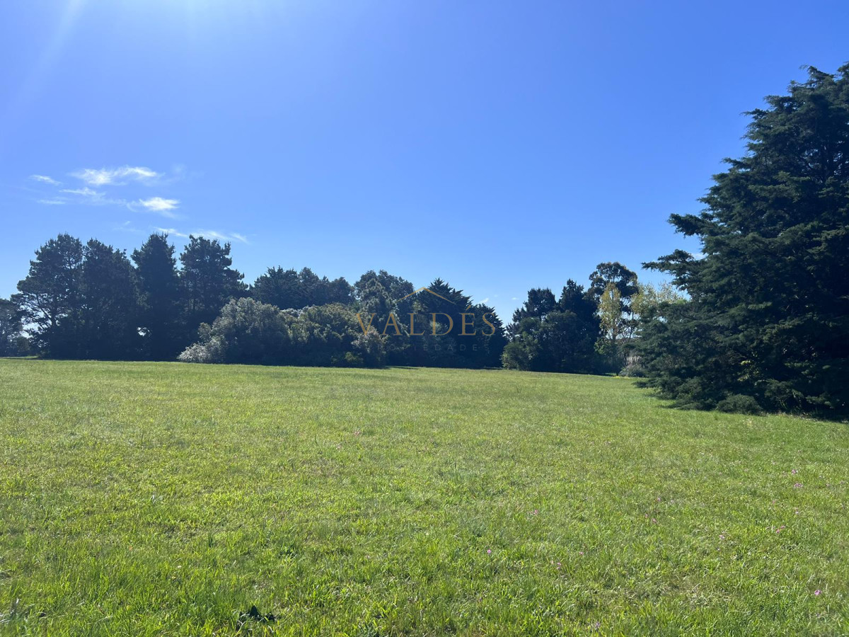 Chacra ID.4392 - Chacra soñada en José Ignacio 