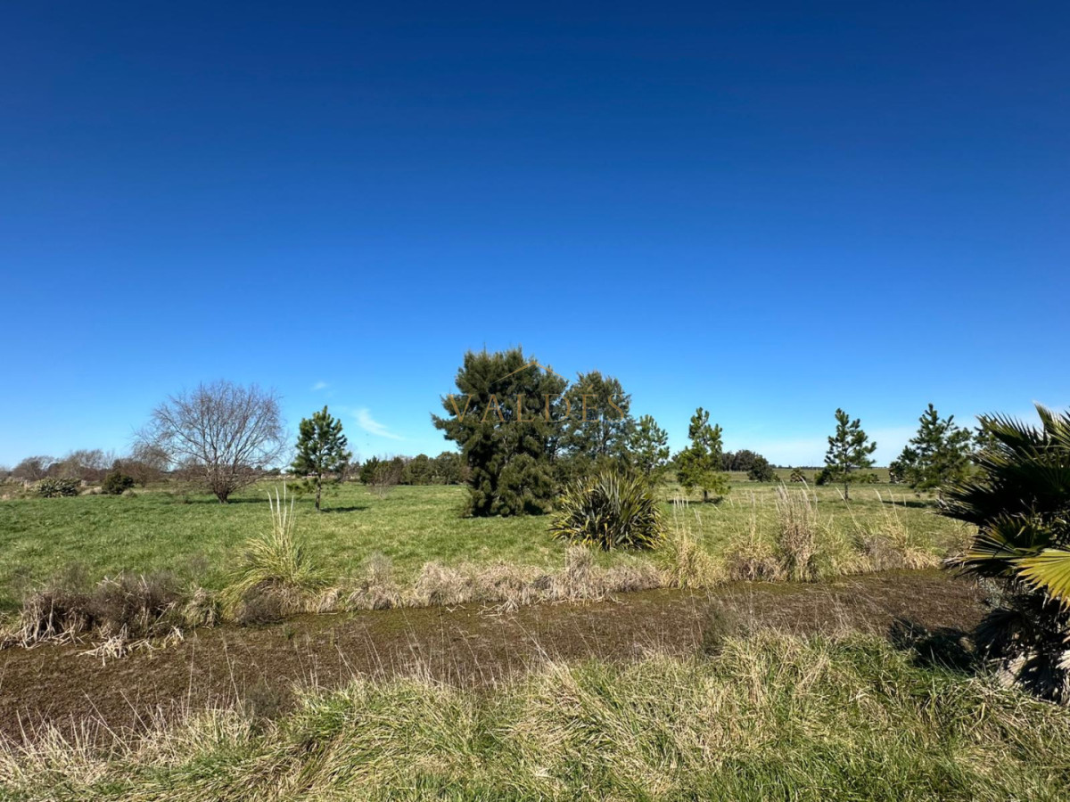 Chacra ID.5354 - VENTA CHACRA RUTA 104
