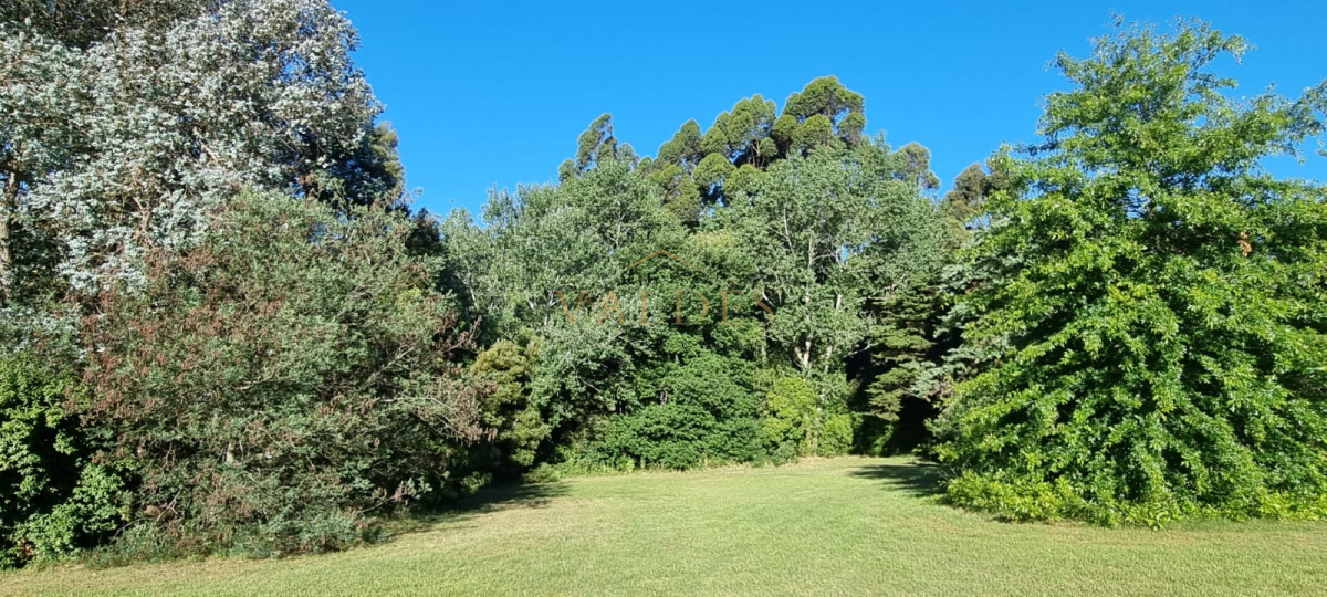 Chacra ID.4392 - Chacra soñada en José Ignacio 