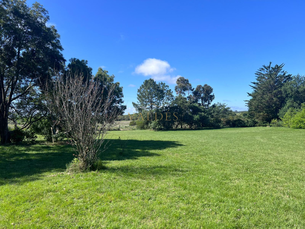 Chacra ID.4392 - Chacra soñada en José Ignacio 