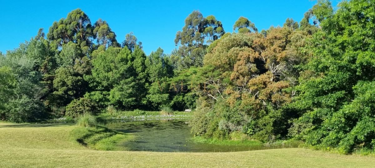 Chacra ID.4392 - Chacra soñada en José Ignacio 