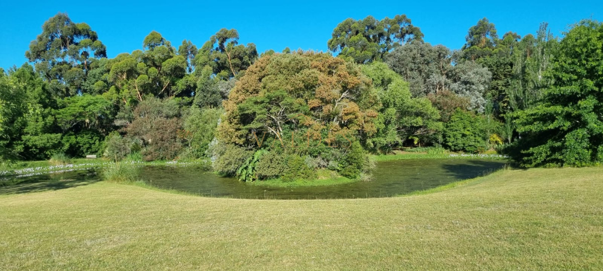 Chacra ID.4392 - Chacra soñada en José Ignacio 