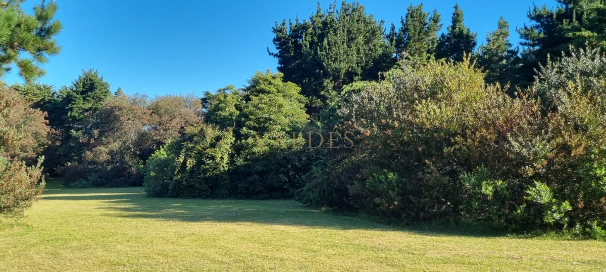 Chacra ID.4392 - Chacra soñada en José Ignacio 