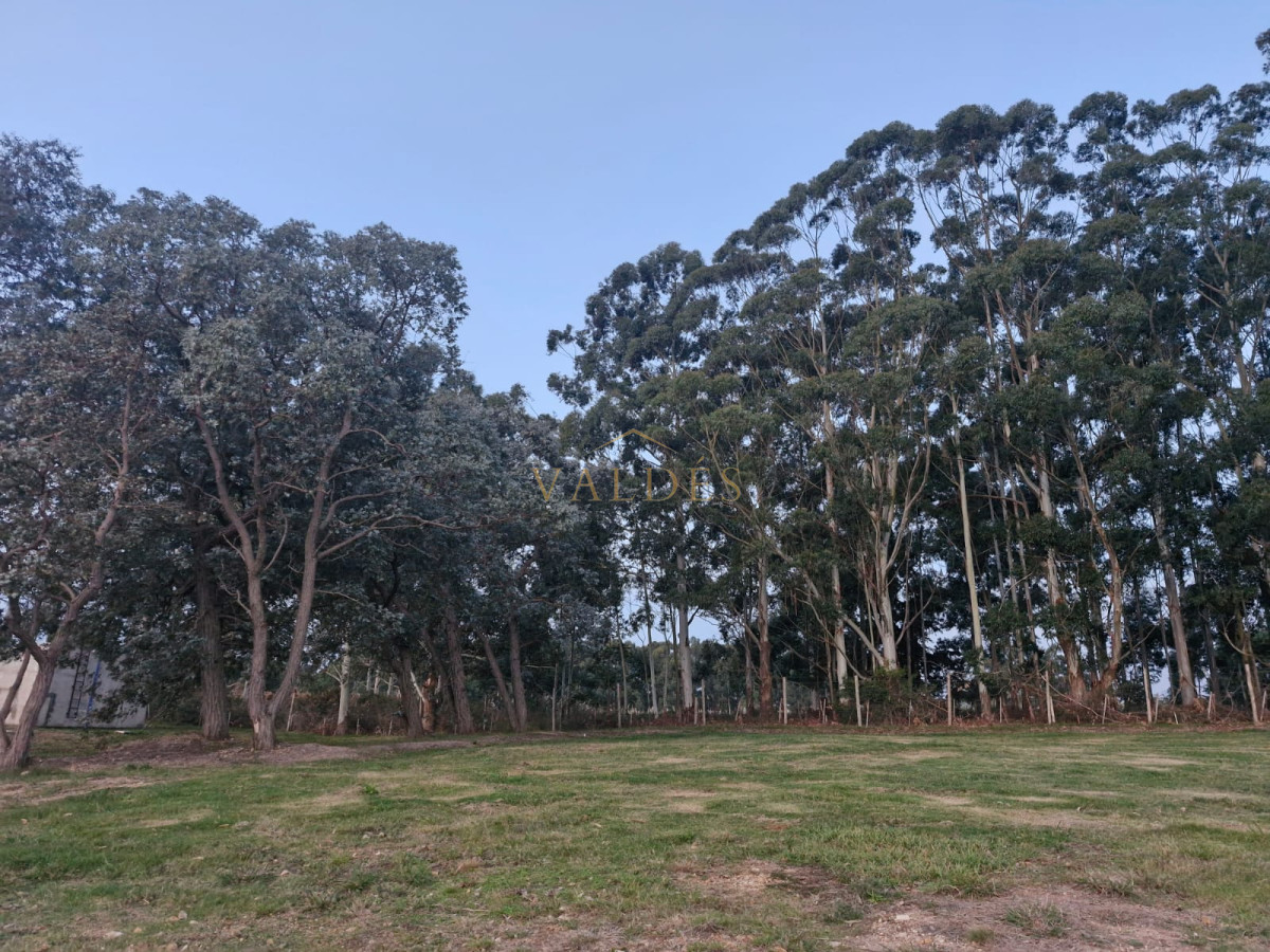 Terreno ID.4457 - TERRENO EN DON MIGUEL