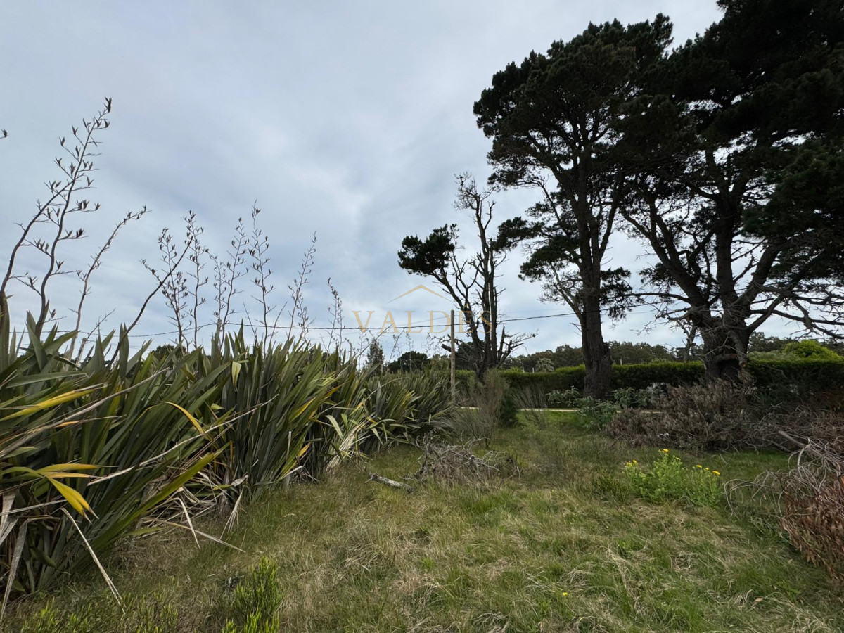 Terreno ID.5065 - TERRENO DE 1500MTS EN SAN VICENTE
