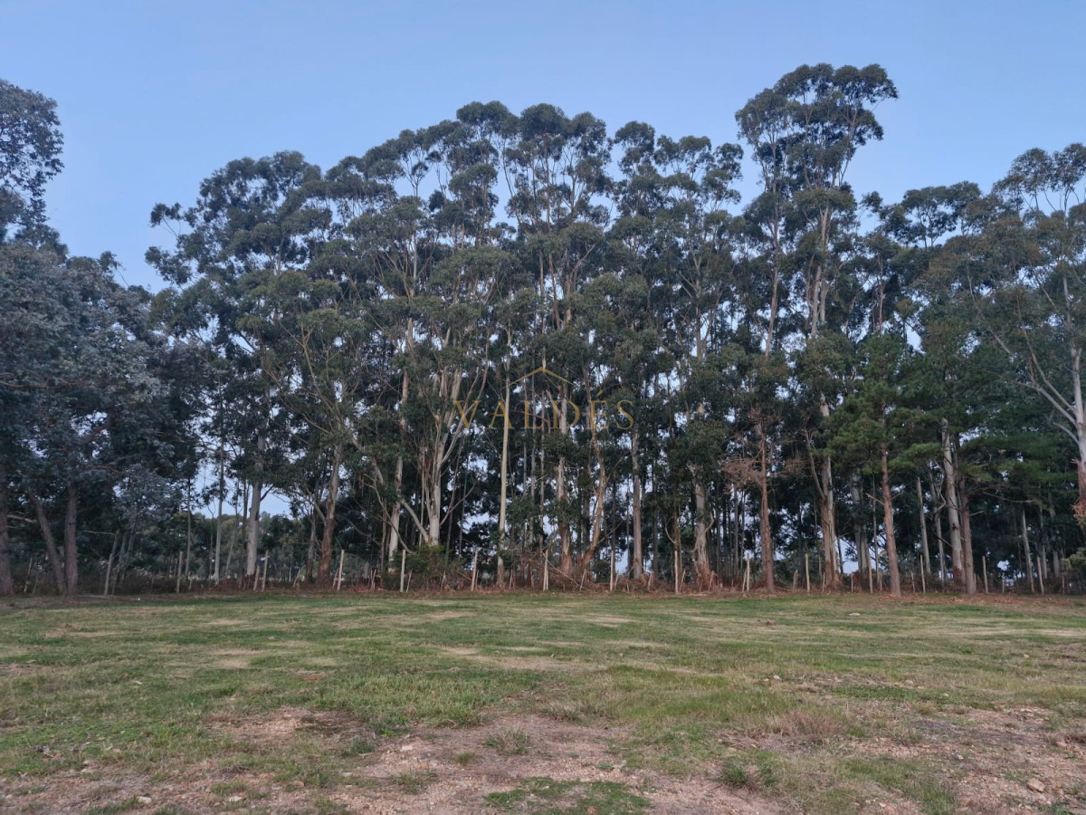 Terreno ID.4457 - TERRENO EN DON MIGUEL