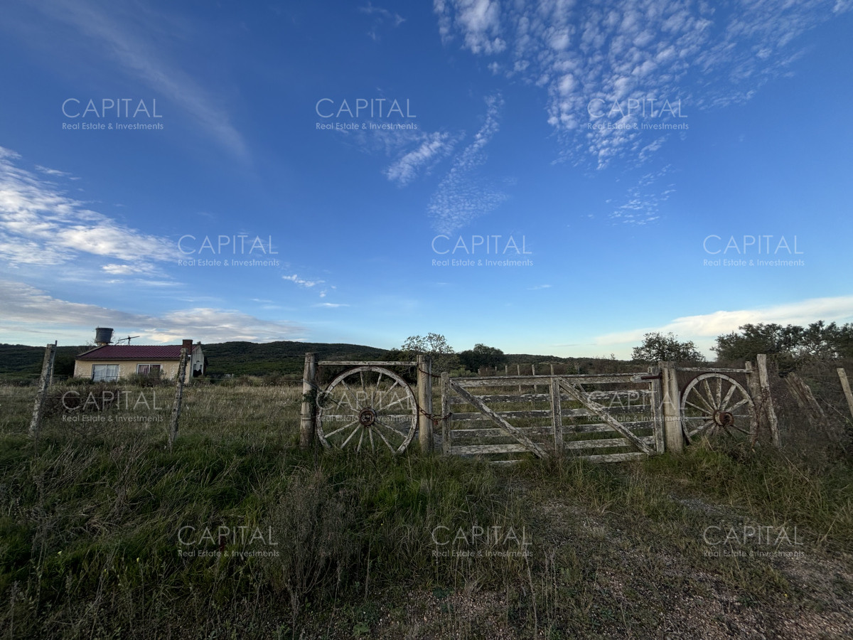 Chacra ID.38417 - Oportunidad, Chacra en venta Pueblo Garzón (Frente a Bodega Garzón)